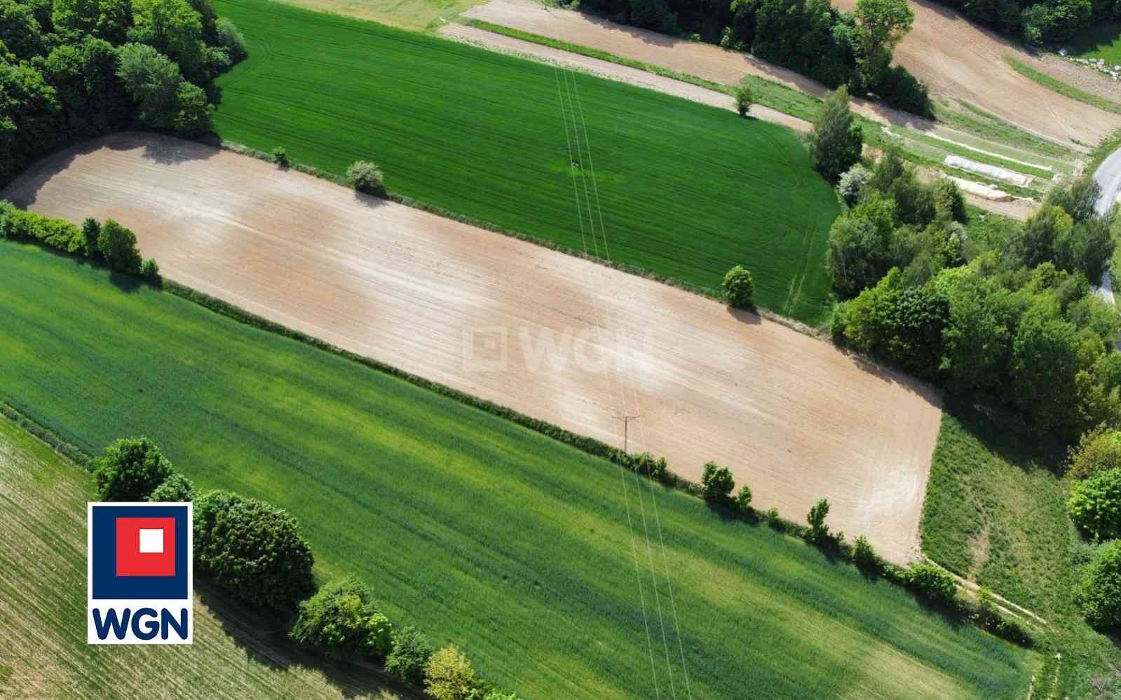 Działka na sprzedaż - Celejów, Celejów - zdjęcie 6