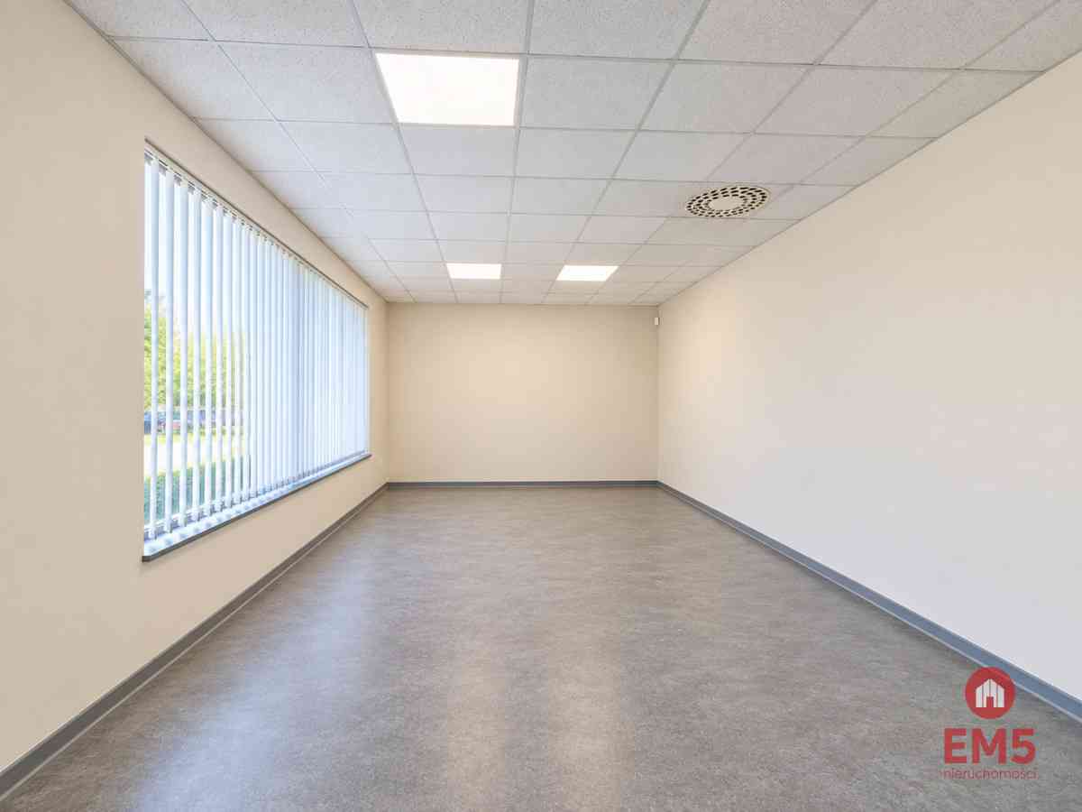 Lokal użytkowy 262 m2 - zdjęcie 3