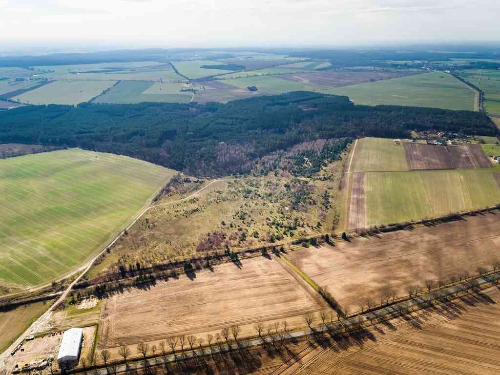 Działki na granicy Baczyna/Marwice miejscowy plan! - zdjęcie 14