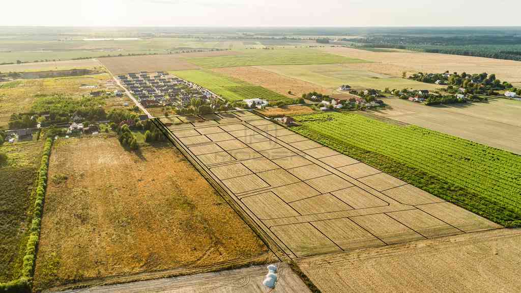 Działki budowlane - Janczewo Kolonia Pod Lasem - zdjęcie 8