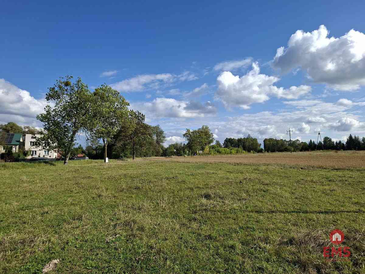 Działka inwestycyjna 2,2 ha - zdjęcie 4