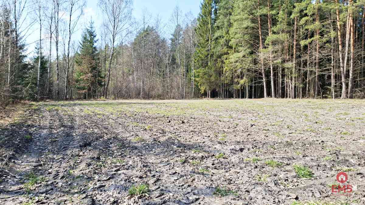 Działka blisko lasu w Solniczkach. 1109 m2 - zdjęcie 9