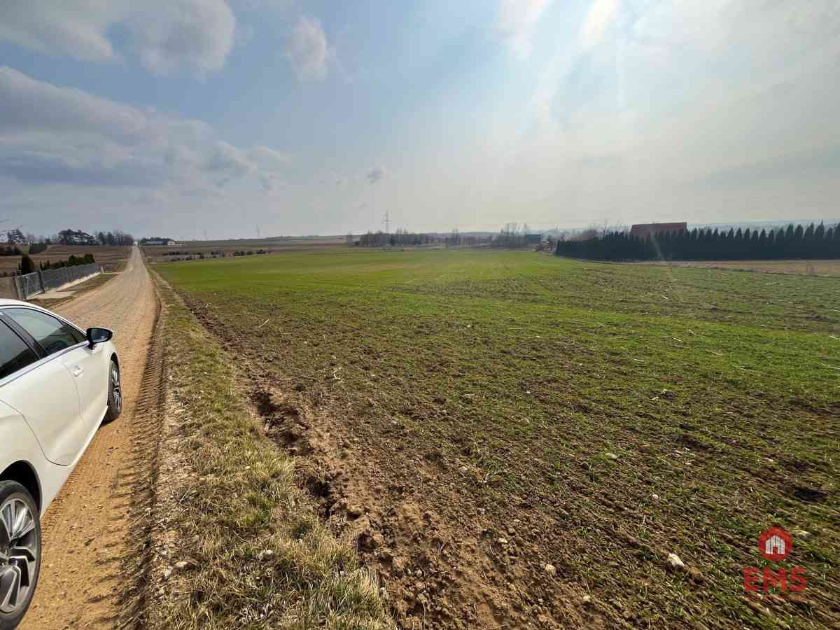 Tereny inwestycyjne w Nowym Aleksandrowie - zdjęcie 4
