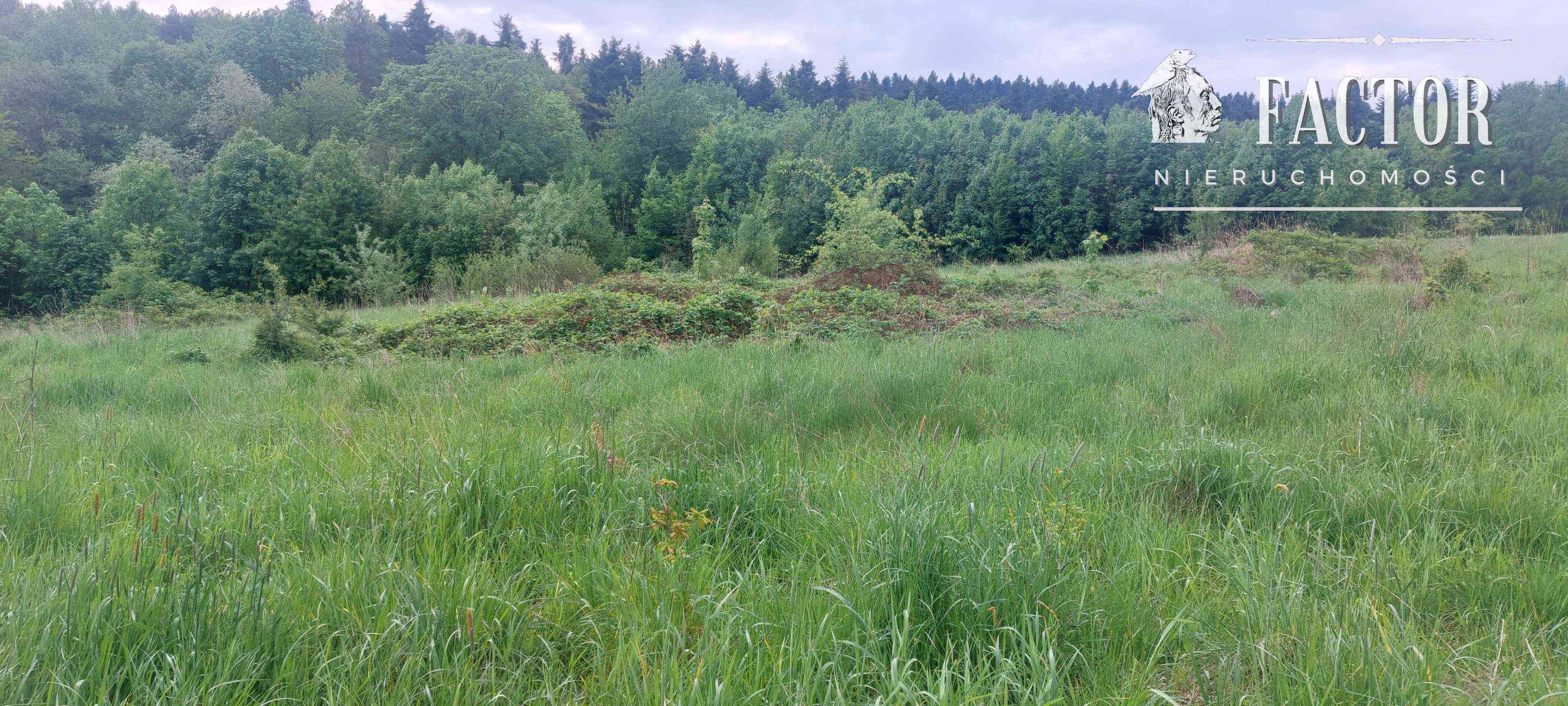 Siary działka budowlana 41,48 a 1148S