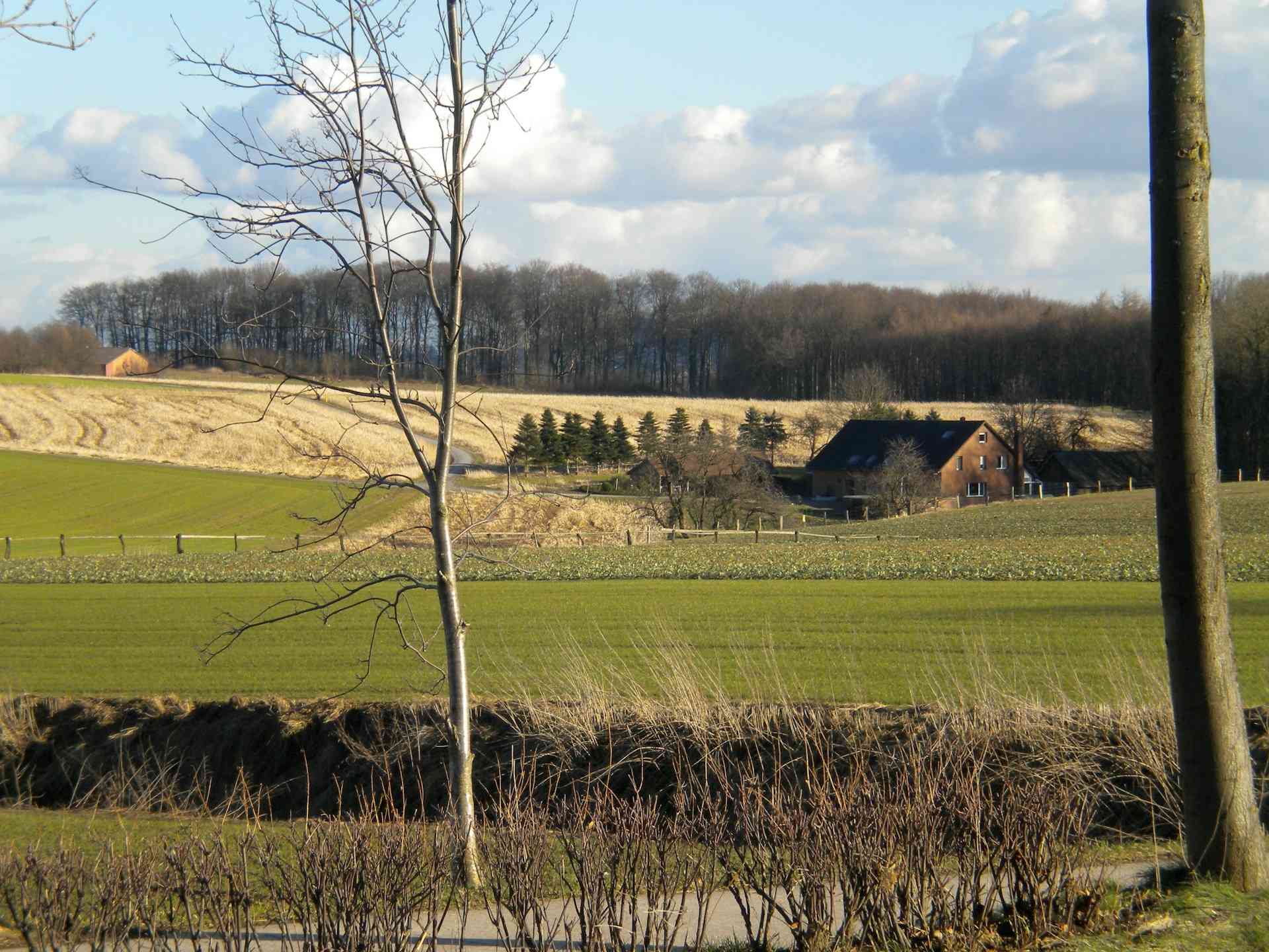 Darmowe ogłoszenia noclegów agroturystycznych na Dazu.pl