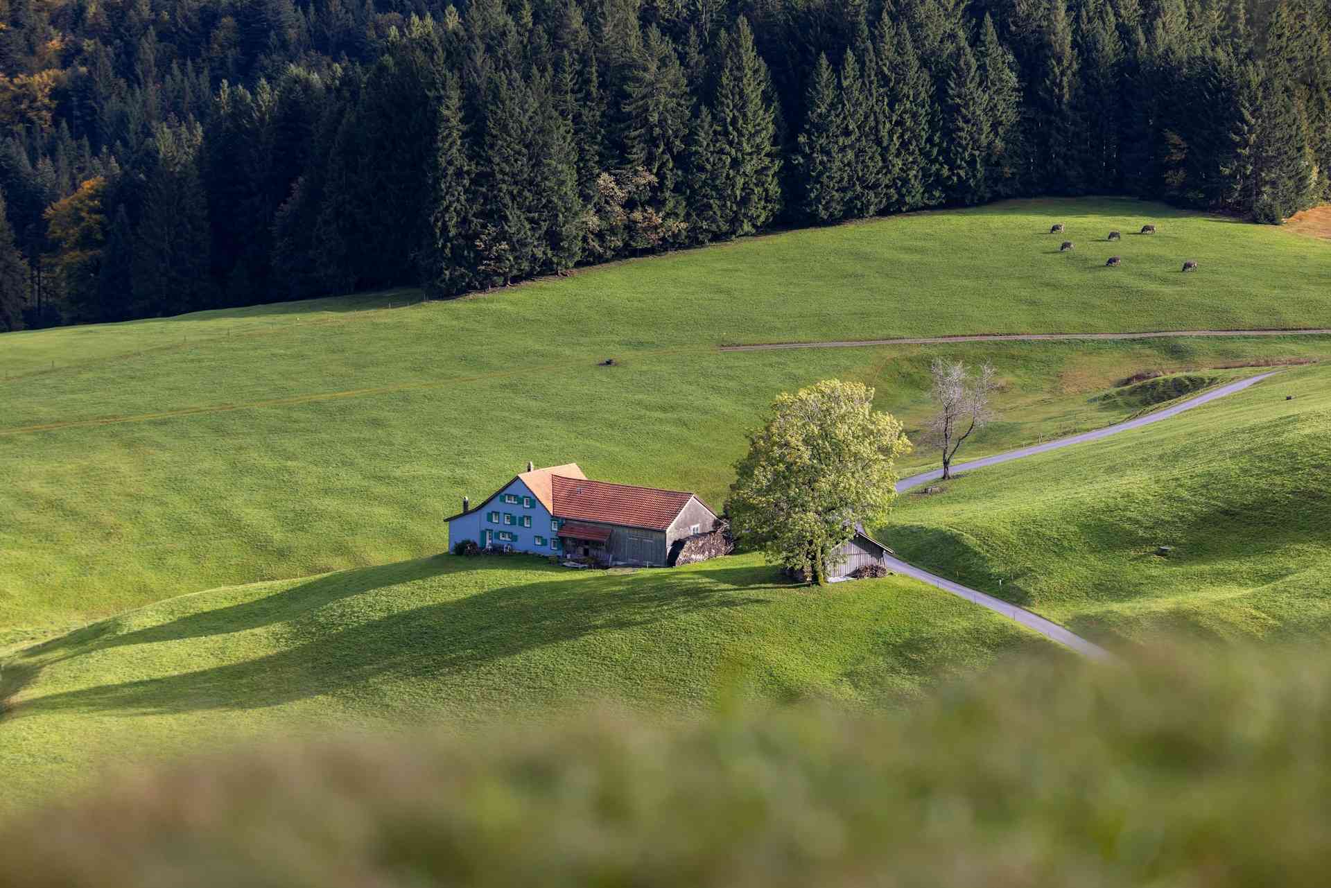 Agroturystyka darmowe ogłoszenia na dazu